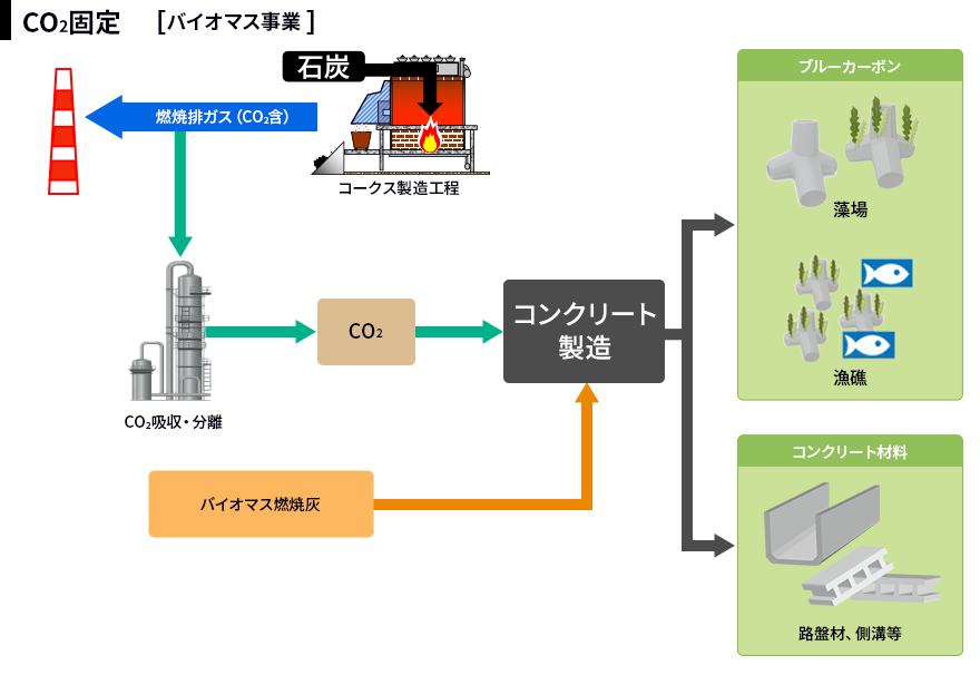 CO2固定［バイオマス事業 ］